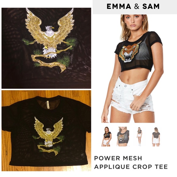 NWOT Emma & Sam Power Mesh Appliqué Crop Tee - Picture 1 of 8